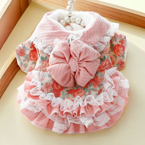 Thickened Sweet Lolita Princess Skirt for Cats And Small Dogs like Bichon And Maltese Pet Clothes Winter Season Pet Apparel