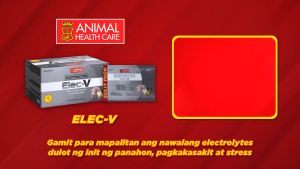 Viddavet Elec-V: Your Ultimate Guide to Electrolyte Hydration