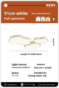 NSWR | Creamy Cloud Design Full Spectrum Ceiling Light