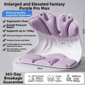 ACK | Ergonomic Lumbar Support Cushion Posture Correction Office Car