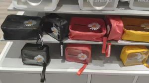 🔥 (L Size) Cute Daisy Toiletry Bag/ Travel Pouch/ Cosmetic Make Up Pouch 网红化妆包透明pvc小雏菊彩妆收纳包