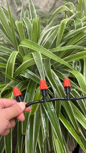 Hệ Thống Tưới tự Động Béc Phun Sương Cam Tưới Cây