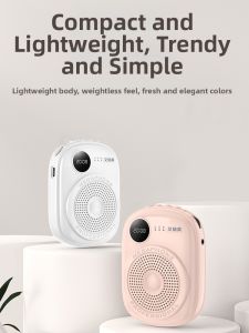 DAOUBO | Wireless Microphone for Teaching and Guiding