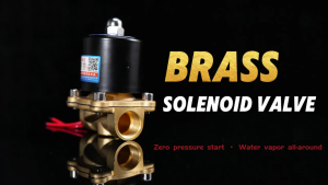 Two Way Brass Electric Solenoid Valve Normally Closed 220V 12V 24V 110V For Water Air Fuel Gas