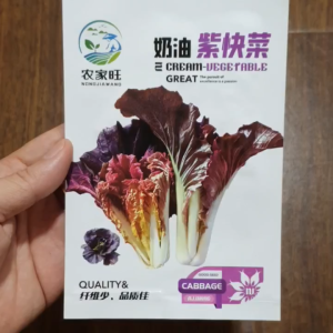 Hạt giống cải ngọt tím hàng nhập khẩu nội địa Trung - Yến Liên shop