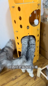 【COD】Felt Cat House Multi Storey Pet Condo Durable Felt Cat Tree Tunnel Semi Enclosed Kitty Nest Removable Cat Bed Indoor Cat Furniture Climbing Frame Cat Playhouse 2025 Hot Trending Affi2