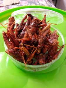 belalang/walang besar goreng-+ 120 gram