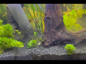 Fish Tank Water ChangeVacuum Siphon Water Changer Pump Sand Cleaner for Aquarium