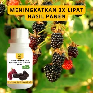 Pupuk Arbei Cepat Berbuah / Pupuk Pelebat Buah Arbei / Pupuk Booster Arbei Cair