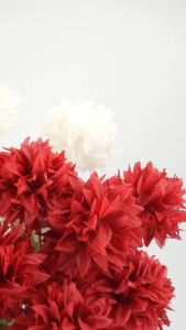 BallMan Panjang Bunga Pompom Dandelion Krisan Bulat Flower Isi 3 Kelopak Tangkai Panjang 65cm Artificial Hiasan Pesta Pernikahan Dekorasi Bucket Rumah Ruang Tamu Kamar Cafe Hotel Premium Import Berkualitas Artifisial