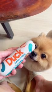 100g Doggo Jumbo Hotdog Dog Dogs Treat Snack All Stages Adult Puppy