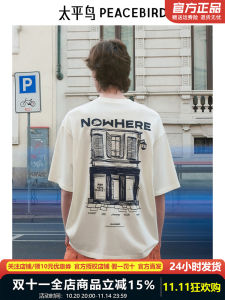 Peacebird Mens Summer New Color Block Embroidery T-shirt Loose Fit Fashion Urban Short Sleeve round Neck Cotton 100%