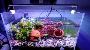 โคมไฟตู้ปลา LED RGB ปรับสีได้ ไฟตกแต่ง YR20/YR30/YR40/YR50/YR60 Lighting (ขนาด 8นิ้ว-28นิ้ว) หลอดไฟตู้ปลา สําหรับตกแต่งตู้ปลา