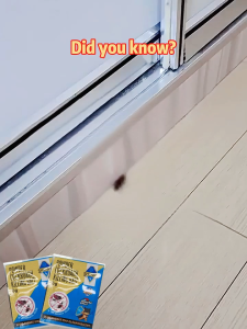 50PCS Japan Cockroach Killer Bait For home & car Death from infection Non-toxic to pet & people Repellent Cockcroach killer Poison Cockroach Traps Ant killer Rat Killer Bait
