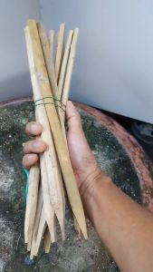 ไม้ไผ่ แหลมปลาย ยาว 40ซม. ไม้ค้ำยันต้นไม้ ปักค้ำต้นไม้ มัดละ 10อัน