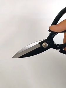 ASLI GUNTING KODOK 8\\\" GUNTING KAIN 215MM GUNTING TAHU TEK JUMBO GUNTING KULIT 85 INCH MURAH BAGUS