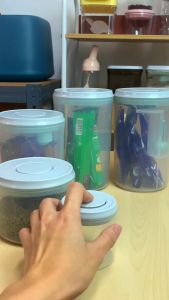 ANKOU Airtight Food Container - 4 In 1 Circle Mini Portable (250ml)