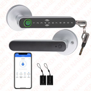 NAIERDI Fingerprint Door Lock with Handle Smart Lock Bluetooth Keyless Password Entry Door Lock with Tuya APP Digital Lock