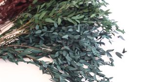 Preserved Daun Eucalyptus Flower