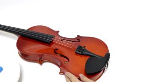 5pcs Bridge Violin 4/4 Bridge Biola Aksesoris Biola