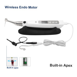 Wireless Dental Endo Motor with Built in Apex Locator Smart 1:1 Direct Drive OLED Screen Endodontic Treatment