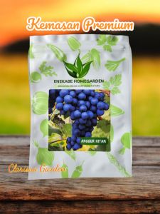 (KEMASAN PREMIUM) BIJI/BENIH TANAMAN ANGGUR HITAM IMPORT (isi -+15 butir)