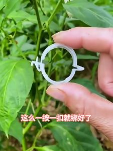 植物固定夹 Plant Hanging Clip Tomato Trellis Clips Garden Vegetable Vine Clips