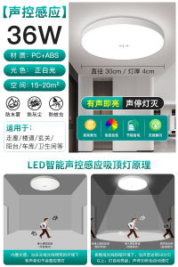 Automatic Induction LED Light Stairwell Ceiling Mounted Radar Sound Control Lampway Entrance Hallway Human Body Sensor Light