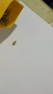 Cardamoms (cardamon) - 500g