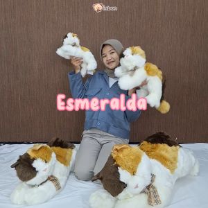 Boneka Kucing Esmeralda Istana Boneka Ly Esmeralda Lucu peliharaan kucing kampung lokal local belang
