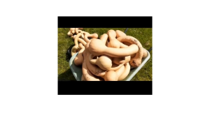 ( 5 Butir ) Benih Biji Labu Madu Botol | Dutch Crookneck Squash