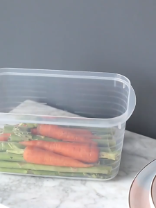 700ml Refrigerator Frozen Meat Fresh-Keeping Box / 1-10Pcs Kitchen Sealed Vegetable Storage Container