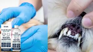 Nước Súc Miệng Cho Chó & Mèo - Công Thức Từ Thực Vật Giải Pháp Chăm Sóc Răng Miệng Loại Bỏ Mảng Bám & Cao Răng Không Cần Chải Răng Hơi Thở Thơm Tho