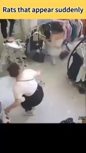 【Imported from Germany】rat Repeller gel 24 hour release Anti mouse gel rat repellent for home penghalau tikus Berkesan deratization cream Strong rat repellent gel Natural plant components Safe and non-toxic 避鼠凝胶膏