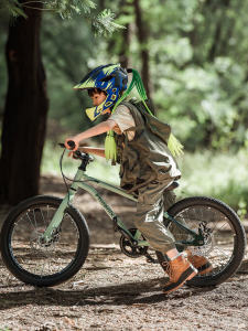 Phoenix Childrens Mountain Bike Boys Girls Dual Disc Brake Shift Elementary School 18 20 22 Inch Single Bike High Carbon Steel Frame