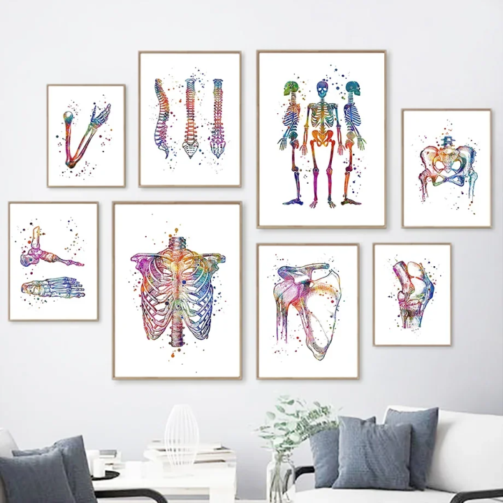 Anatomical Skeletal Poster - Thoracic Spine & Pelvis Limbs Art Canvas ...