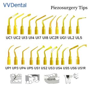 Dental Piezosurgery Tips for Mectron/Woodpecker Dentistry Tools Bone Cutting Sinus lifting Implant Perio Scaling Tips