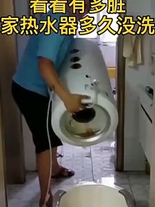 Household Bath Water Purifier Washing Machine Rain Shower Front Water Heater Unibody Filter