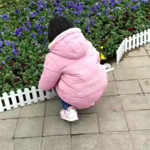 Home Garden Fence Indoor Fencing Decoration Plant Flower Protect Gardening Tools Plant Borders Pagar Hiasan Kebun