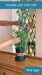 Khung nhựa cho cây leo