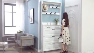 【Desiny】Shoe Cabinet Ultra-thin Tipping Shoe Rack Household Coat Rack Shoe Cabinet