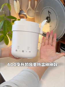 Olayks 0.6L Mini Slow Cooker Rice Cooker Ceramic Pot | Porridge Soup | 24H Preset Timer | Electric Stew Cooker 迷你电饭锅 电炖锅
