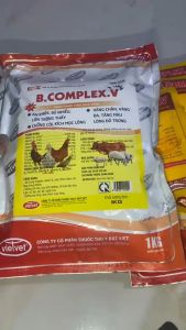 BCOMPLEX thức ăn bổ sung tăng trọng cho gà lợn