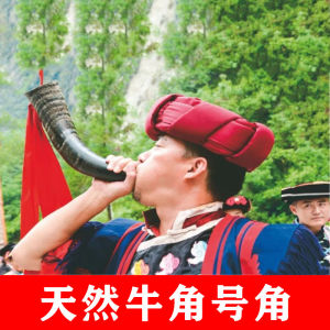 Yunnan Natural Handmade Large Size Yak Skull LaCorne Trumpet Performance Props Horn Dharma-Vessel Warring States LaCorne
