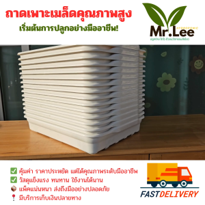 แพ็คคู่สุดคุ้ม ถาด + ฟองน้ำ ถาดเพาะเมล็ดคุณภาพสูง ถาดเพาะต้นกล้า พลาสติกหนาเหนียว เกรด A ขนาดพอดีกับ ฟองน้ำ ปลูกผักไฮโดรโปนิกส์
