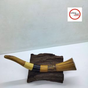 express galeri once pipa kayu kelor mas model terompet