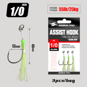JIGGING PRO Single Assist Hooks 1/0 2/0 3/0 4/0 High Carbon Steel Barbed Jigging Hooks With Luminous Tinsels Saltwater Fishhook