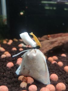 Shrimp Food Microorganisms Bag/LuBao 5+1