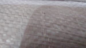 PAKET 10Pack Tusuk Gigi Bambu Merk ION 250PCS PERPACK