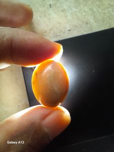 batu mani gajah susu natural calsite